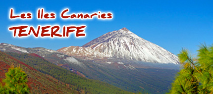 Voyage aux Iles Canaries - Tenerife
